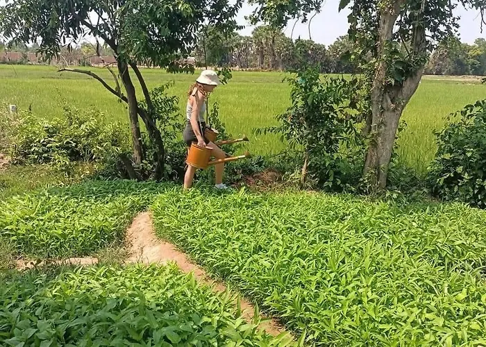 Phonluer Angkor Siemreap - Local Vibe ホームステイ シェムリアップ