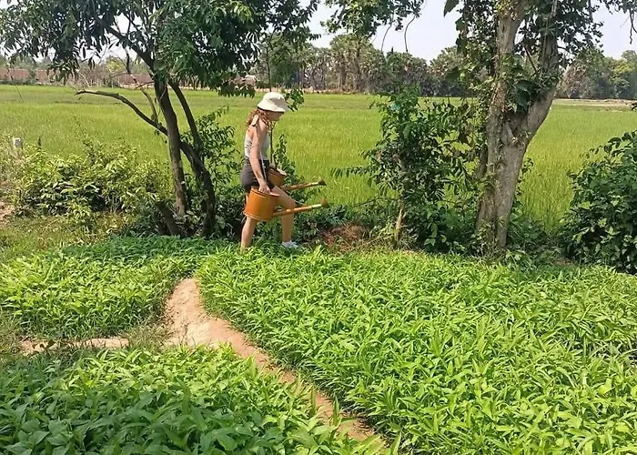Phonluer Angkor Siemreap - Local Vibe シェムリアップ
