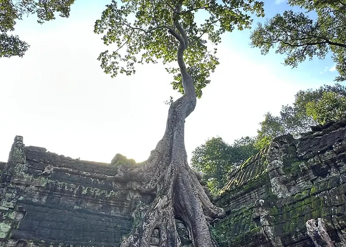 Phonluer Angkor Siemreap - Local Vibe ホームステイ *