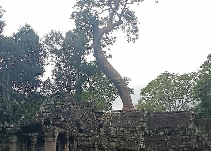ホームステイ Phonluer Angkor Siemreap - Local Vibe